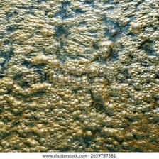A close-up of thick, muddy sludge
