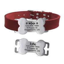 A pet collar fitted with a small identification tag