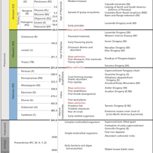 A geologic time-scale graphic showing eons as vast spans of time.