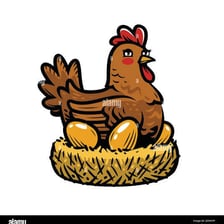 A hen in a nest with an egg.