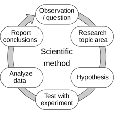 A person examining evidence to reach a conclusion.