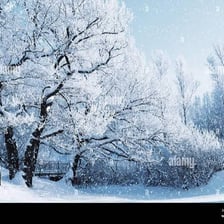Snow covering a winter landscape.