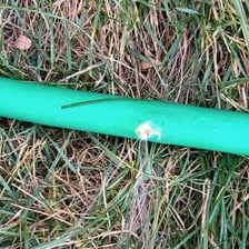 Water spraying from a small hole in a garden hose