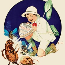 A historical container of the pesticide DDT