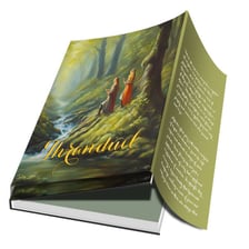 An open book showing the folded flap of its dust jacket.
