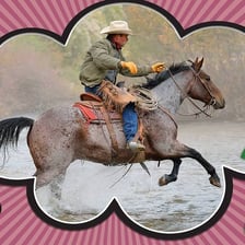 A cowboy on horseback in a Western scene.