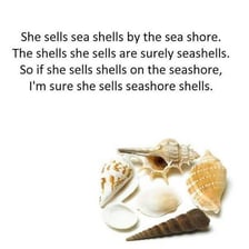 Seashells scattered along a beach.