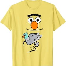 Bert from Sesame Street pictured with a pigeon.