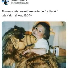 ALF, the furry alien character from the 1980s sitcom