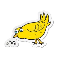 A bird pecking at seeds on the ground.