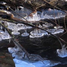 A thin sheet of ice covering a puddle in winter.