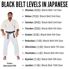 A karate practitioner demonstrating a technique while wearing a black belt