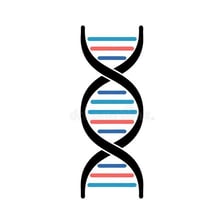 An illustration of DNA as a double helix.