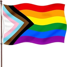 A rainbow pride flag associated with the LGBTQ+ community.