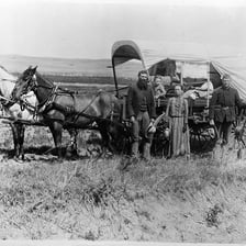 A covered wagon train traveling west across an open landscape