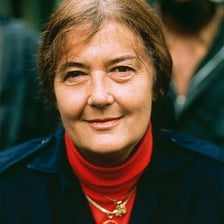 Dian Fossey studying mountain gorillas
