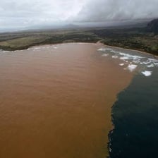 Fine sediment deposited along the edge of a river.