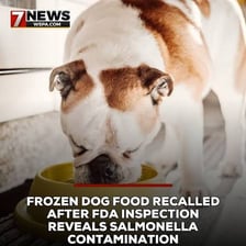 Food safety officials inspecting packaged food
