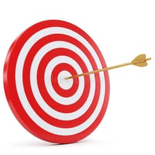 A target with a mark directly in the bullseye.