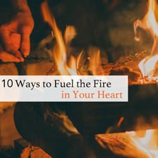Fuel being added to a fire