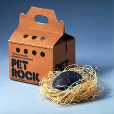 Vintage Pet Rock novelty toy displayed in its original box