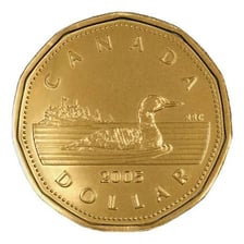 A common loon depicted on a Canadian one-dollar coin.
