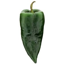 Several dark green poblano peppers
