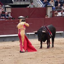 A crowd cheering at a Spanish bullfight.