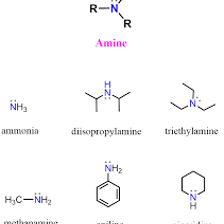 A chemistry diagram showing the NH₂ amino group