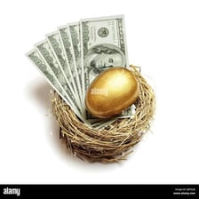 Nest egg symbolizing money saved for retirement