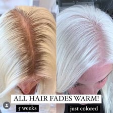 A visual progression from a vivid color to a pale shade