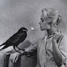 Tippi Hedren in a promotional image for The Birds.