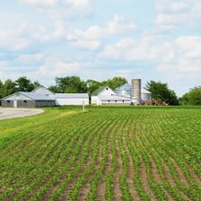 A working farm with cultivated fields and agricultural buildings