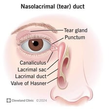 A close-up view of tears collecting at a human eye