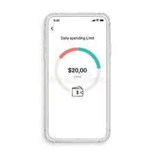 Budget interface showing a spending limit set in advance