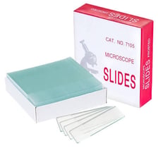 A glass microscope slide holding a specimen.
