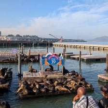 Tourists visiting Fisherman’s Wharf in San Francisco.