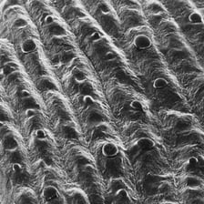 A single drop of perspiration on a person’s skin