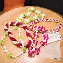 A colorful flower lei presented as a Hawaiian welcome gift.