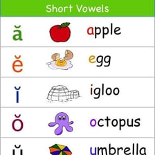 An educational display of the five standard English vowel letters.