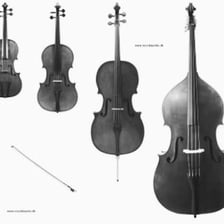 A viola and cello displayed side by side.