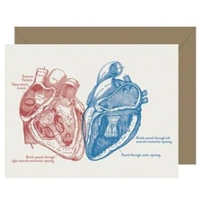 A two of hearts playing card beside an anatomical heart illustration.