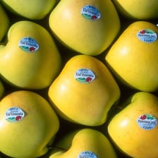 A prepared food item presented as safe to eat.