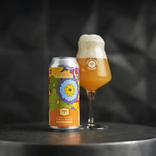 Pint of India pale ale with a foamy head