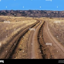 Deep parallel tire ruts running along an unpaved road.
