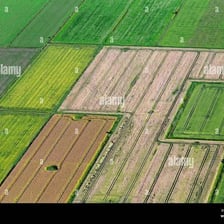An aerial view of a distinct parcel of farmland.