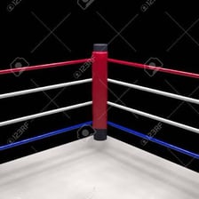 Ropes forming the border of a boxing ring