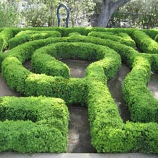 A garden maze with tall green hedge walls