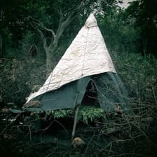 A small rustic hut used as a basic shelter