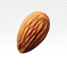 A close-up of an almond showing its elongated oval shape